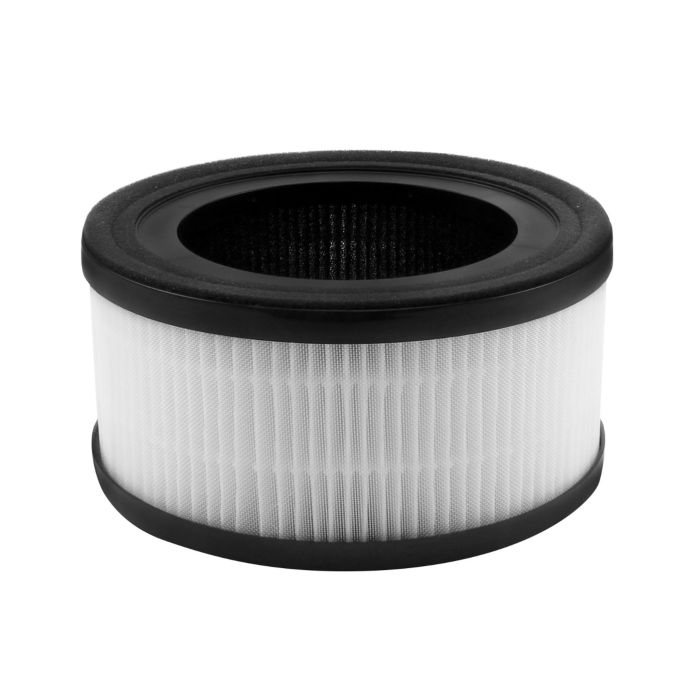 InvisiClean True Hepa / Activated Carbon Replacement Filter for IC-2010 - IC-2010-Filter